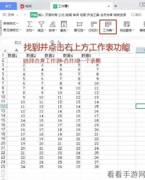 WPS Excel 表格自定义排序秘籍大公开