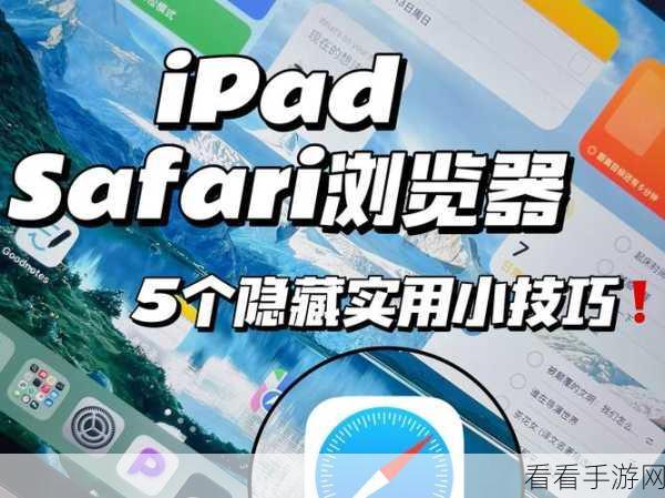 轻松掌握！Safari 浏览器电脑版无痕浏览秘籍