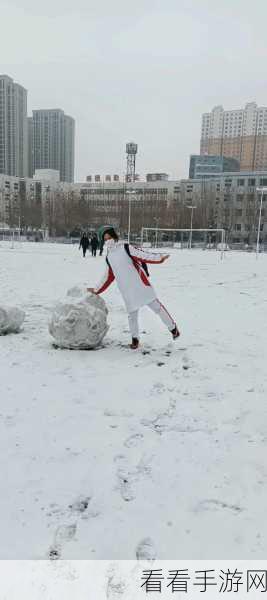 翻滚吧球球君大乱斗推雪球游戏，挑战极限，雪球激战一触即发！