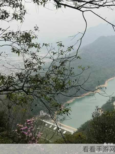 舞动刀锋，画线战斗新体验，手机版下载火爆开启