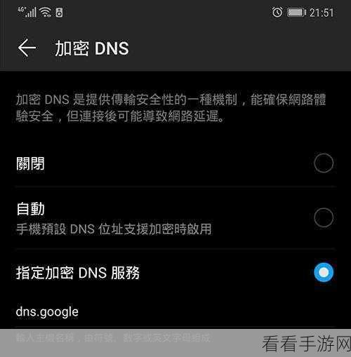 谷歌浏览器 DNS 提供商的绝佳选择秘籍