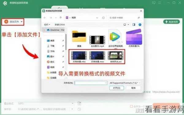 轻松搞定优酷视频下载与格式转换秘籍