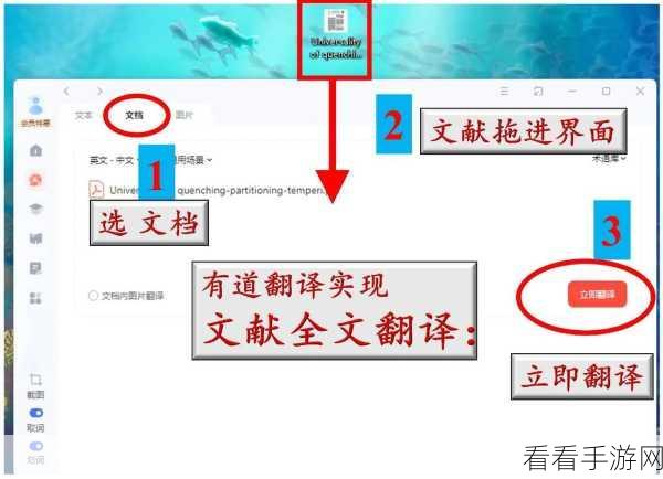 轻松搞定有道词典鼠标跟随翻译，方法全解析！