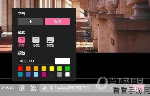 解决哔哩哔哩电脑版无弹幕困扰，详细设置教程