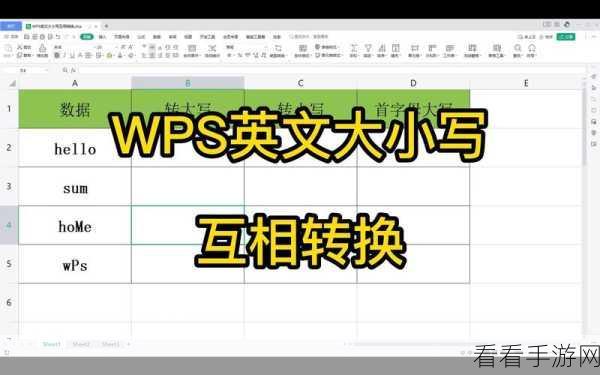 轻松掌握！WPS Word 文档英文大小写转换秘籍