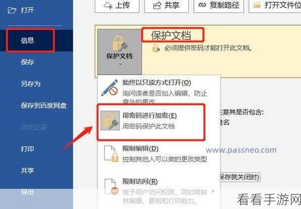 轻松掌握！WPS Word 文档密码设置秘籍