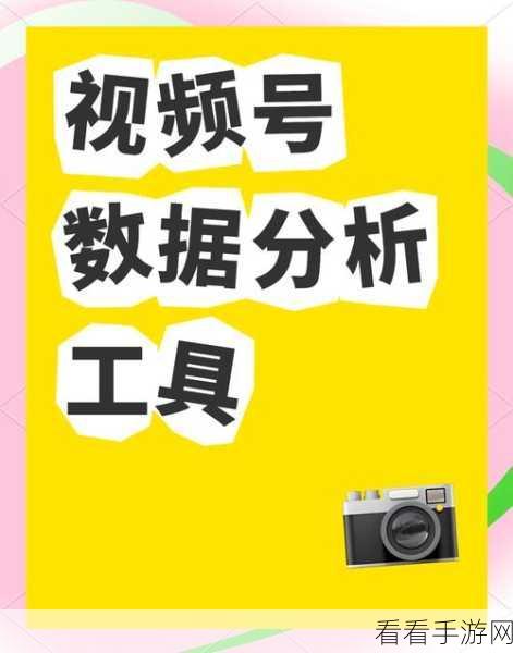 深度解析，视频号助手权限设置及用途全攻略