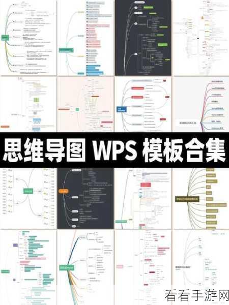 轻松掌握，WPS 思维导图添加概要的秘诀