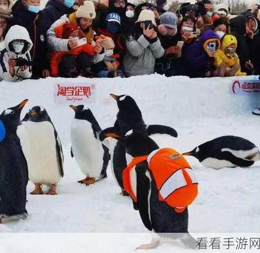 企鹅雪地赛，冰原冒险，操控企鹅赢取极地荣耀！