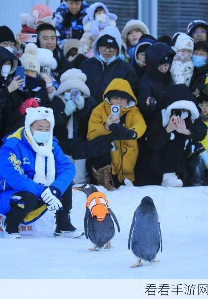 企鹅雪地赛，冰原冒险，操控企鹅赢取极地荣耀！