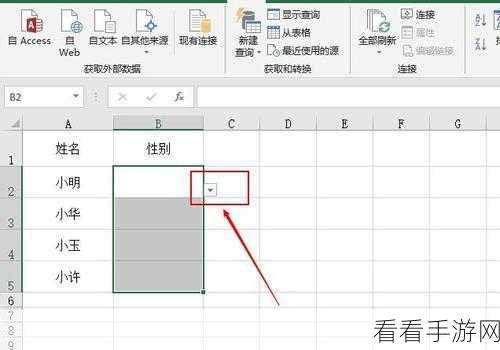 轻松搞定 Excel 表格下拉列表多选项添加秘籍