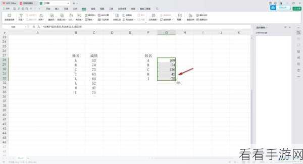 WPS Excel 中轻松搞定重复项求和秘籍