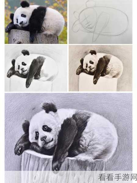 电脑版熊猫绘画导出透明底秘籍大公开
