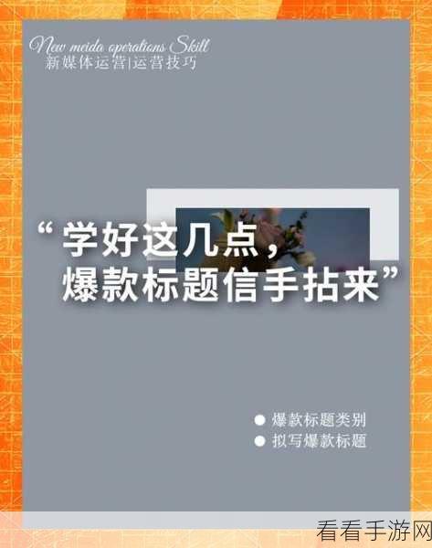 探秘荐片，轻松上手的完整使用秘籍