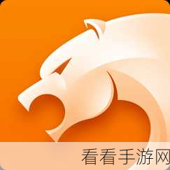 轻松搞定！猎豹浏览器电脑版自动清理数据设置秘籍