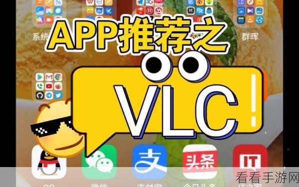 轻松掌握，VLC 播放器视频书签创建秘籍
