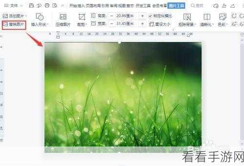 轻松搞定！Word 文档绿色背景转白色背景秘籍