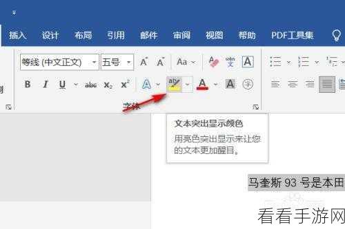 轻松掌握，Word 文字黄色阴影边框添加秘籍