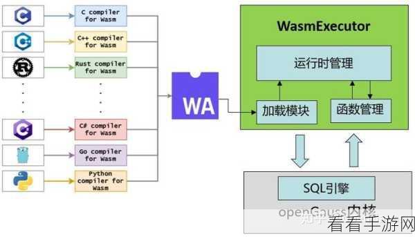 探索 C与 OpenGauss 高效通信的秘诀