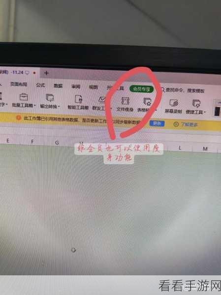掌握 WPS Excel 拼写检查更正建议的秘籍