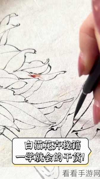 探秘白描软件，功能与使用秘籍全解析