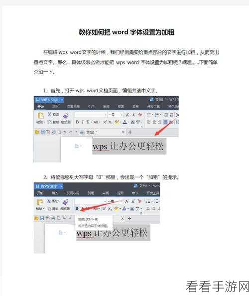 轻松掌握！Word 文档字体加粗秘籍大公开