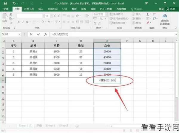 掌握 Excel 竖列求和秘籍，让数据处理不再难