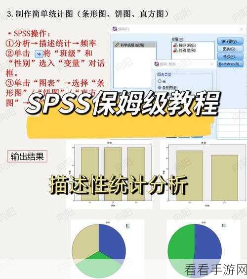 SPSS 频数分析秘籍，轻松掌握数据频率分析之道