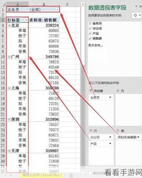 轻松掌握 WPS Excel 数据透视表行列字段顺序修改秘籍