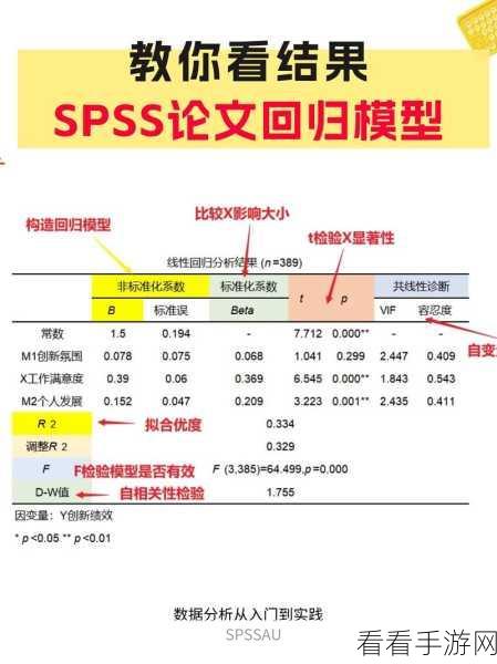 SPSS 标准化数据秘籍，轻松掌握高效方法