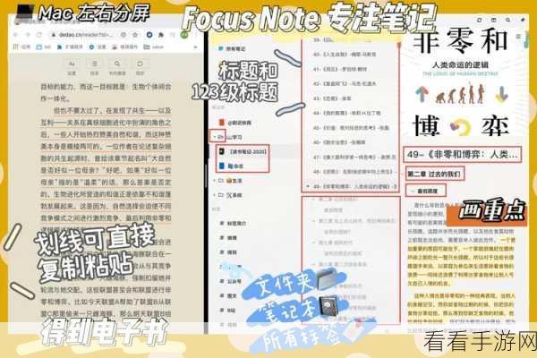 玩转 FocusNote 笔记，实用技巧大揭秘