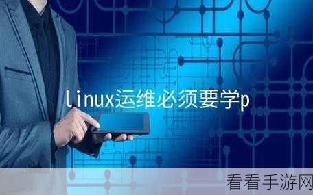 掌握关键技巧，提升 Linux VPS 主机稳定性秘籍