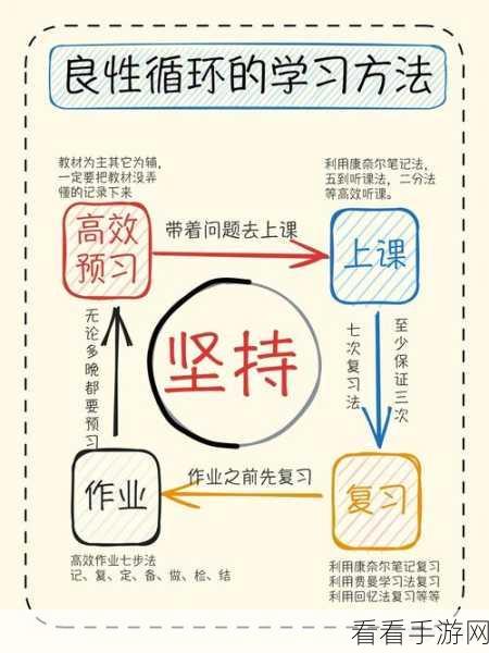 解锁电脑版元思笔记的高效使用秘籍