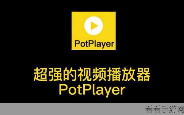 掌握 PotPlayer 播放器自定义配色秘籍