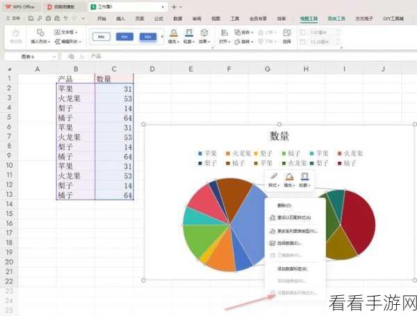 轻松搞定！WPS Excel 饼图各部分类别名称显示秘籍