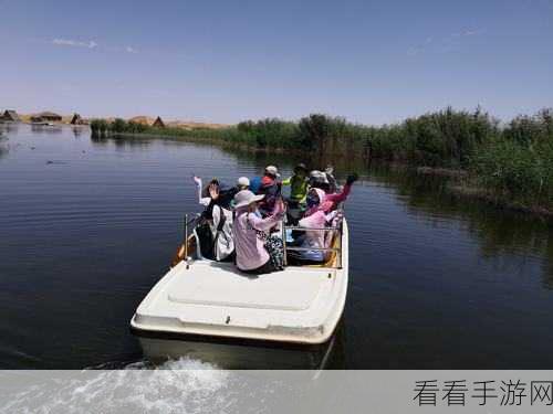 青蛙历险记，像素风冒险新体验，下载开启奇幻闯关之旅