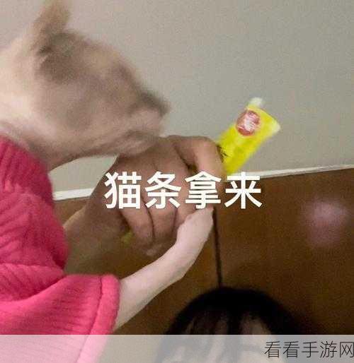 萌宠来袭！贪吃猫猫咪圣手模拟休闲游戏深度解析