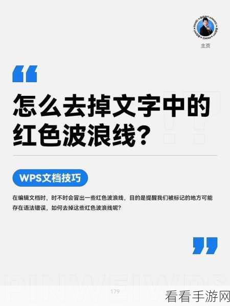 轻松搞定！WPS Word 文档中去除英文下方波浪线秘籍