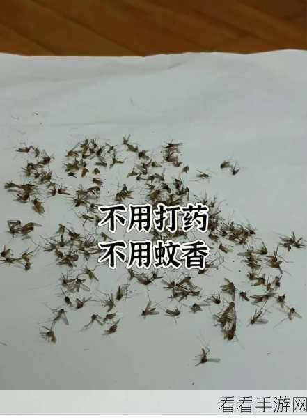 趣味升级，挑战无限！消灭蚊蝇手机版下载火爆开启