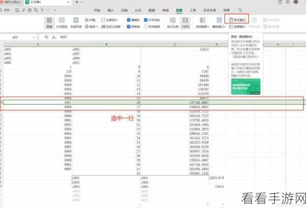 轻松搞定！WPS Excel 同一列重复数据筛选秘籍