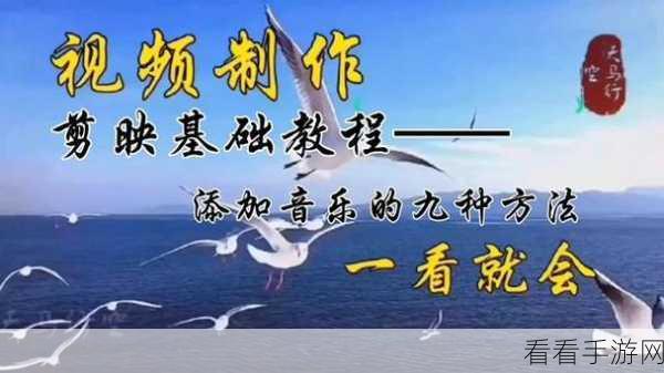 拍大师，轻松为视频添加动人音乐的秘籍