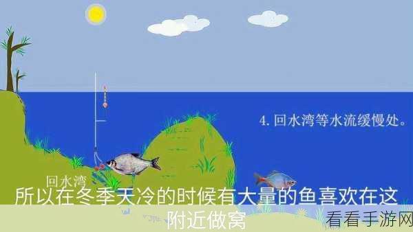 休闲新宠，偷偷钓个鱼最新版下载及玩法详解