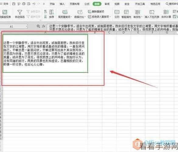 Excel 单元格文字顶格设置秘籍,轻松搞定每一行