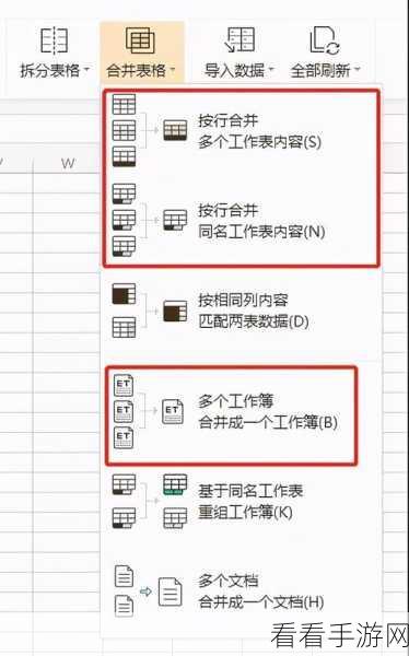 轻松掌握 WPS 段落拆分秘籍