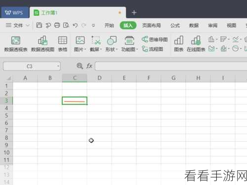 轻松搞定 WPS Excel 表格会计双下划线添加秘籍