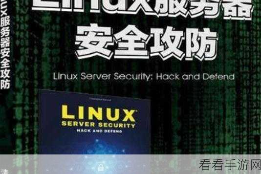 掌握关键技巧，提升虚拟服务器 Linux 系统安全性