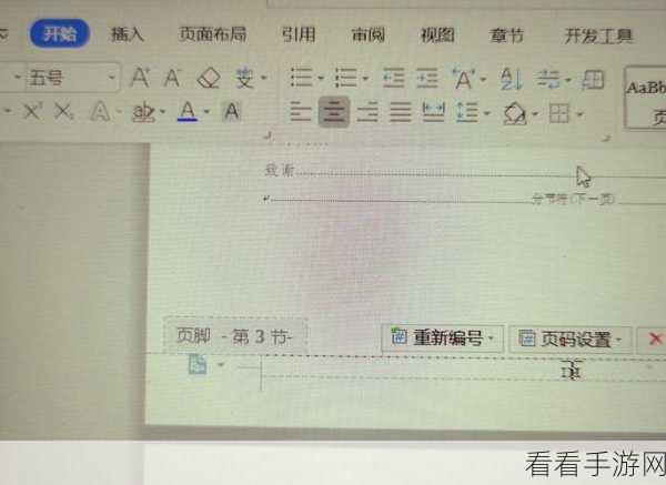轻松搞定！WPS Word 页脚横线添加秘籍