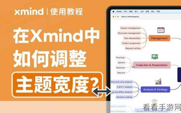 掌握 XMind 主题框间距调整秘籍，让思维更清晰