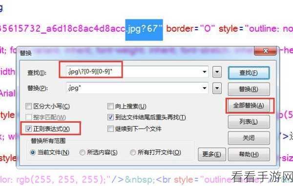 EditPlus 高效删除空白行秘籍，正则替换规则大揭秘