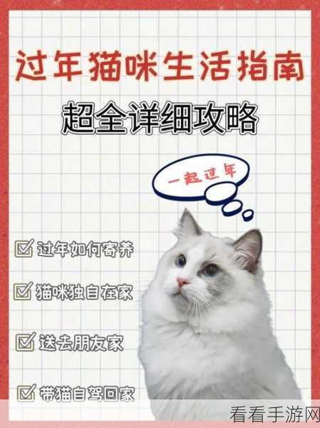 萌宠来袭！KleptoCats猫咪养成游戏官方下载全攻略